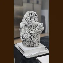 image-1-1